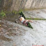 Young man ends his life by jumping from overpass