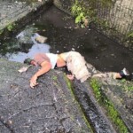 Young man ends his life by jumping from overpass