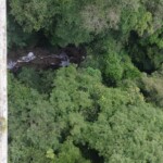 Young man throws himself from bridge to his death