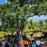 Young woman hanged herself after argument with her boyfriend