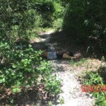 Young woman murdered by her jealous boyfriend