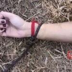 Body of unidentified woman pulled from Bhakra canal