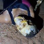 Sidneia José de Santana de Azevedo