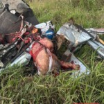 Brutal consequences of accident on BR-101