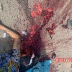 Cambodian motorcyclist fatally crushed by truck