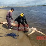 Car with dead couple inside pulled from river in Yakutsk