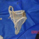 Dead woman pulled from submerged car