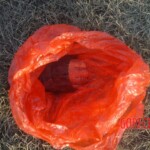 Discovery of murdered Chinese woman with chopped of hand