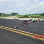 Dismembered bodies of three people dumped on road in Veracruz, Mexico