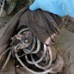 Eaten and rotten female remains found in ravine