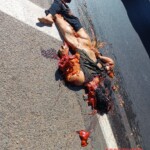 Fatal collision of female motorcyclist with truck on BR-153 in Uruaçu