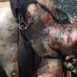 Female gangster tortured, executed, and dumped on street