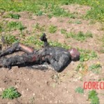 Five electrical cable thieves ended up fried