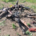 Five electrical cable thieves ended up fried