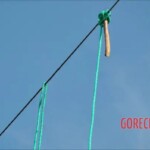 Five electrical cable thieves ended up fried