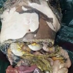 Guy dismembered his girlfriend and throw her piece by piece into canal