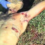 Home invasion ended badly for thief