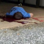 Lunatic massacred his entire family and committed suicide