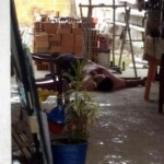 Lunatic massacred his entire family and committed suicide