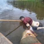 Massacre of illegal gold miners in Brazil