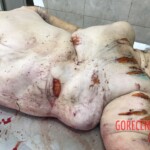 Mentally ill woman cut herself with knife and jumped to her death