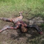Naked burned woman with signs of torture found