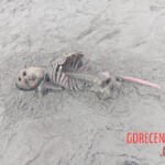 Ocean in Ecuador washed three bodies ashore