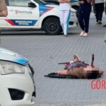 Russian federal judge brutally murdered by his lover’s husband