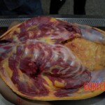 Stabbed Chinese woman in morgue