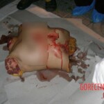 Terrifying discovery of dismembered Chinese woman