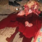 Thai man blew his brains out of his head with shotgun