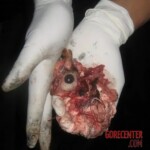 Thai man blew his brains out of his head with shotgun