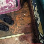 Ukrainian army veteran murdered his wife and then cut off his penis