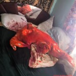 Ukrainian army veteran murdered his wife and then cut off his penis