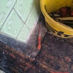 Ukrainian army veteran murdered his wife and then cut off his penis