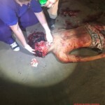 Unidentified man executed with more than 30 gunshots