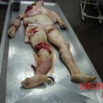 79-year-old woman run over by train