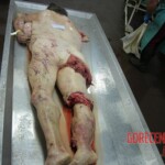 79-year-old woman run over by train