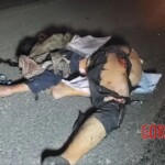 Cambodian woman fatally crushed in traffic accident