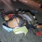 Cambodian woman fatally crushed in traffic accident