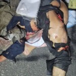 Cambodian woman fatally crushed in traffic accident