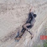 Charred male body found on dirt road