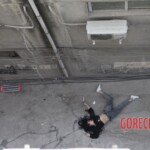 Chinese female suicidal jumper