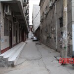 Chinese female suicidal jumper