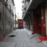 Chinese female suicidal jumper