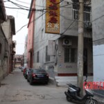 Chinese female suicidal jumper