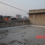 Chinese female suicidal jumper