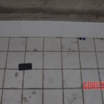 Chinese female suicidal jumper