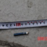 Chinese female suicidal jumper