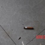 Chinese female suicidal jumper